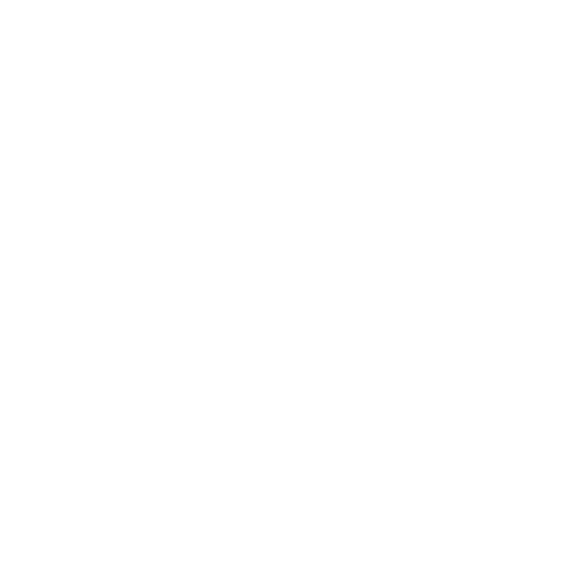 NoirStudio logo